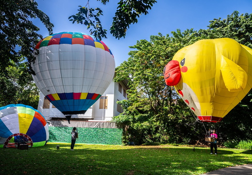DSC09937