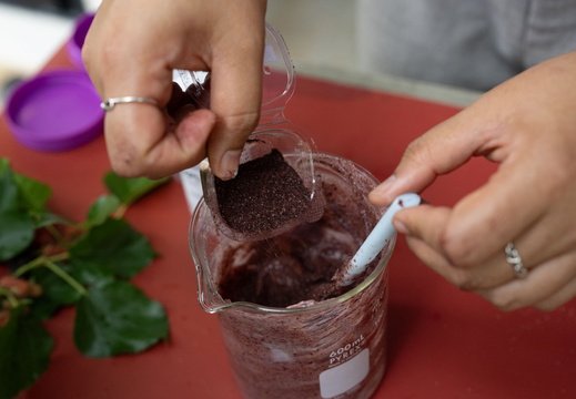 ขั้นตอนการทำ สครับจากกากใยมัลเบอร์รี่ 2